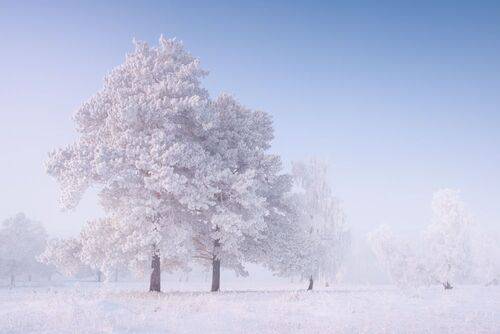 В морозной тишине... / In the frosty silence...