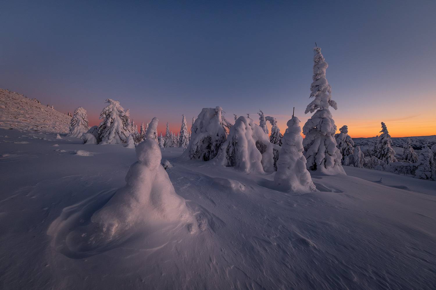 , Бодрягин Виталий