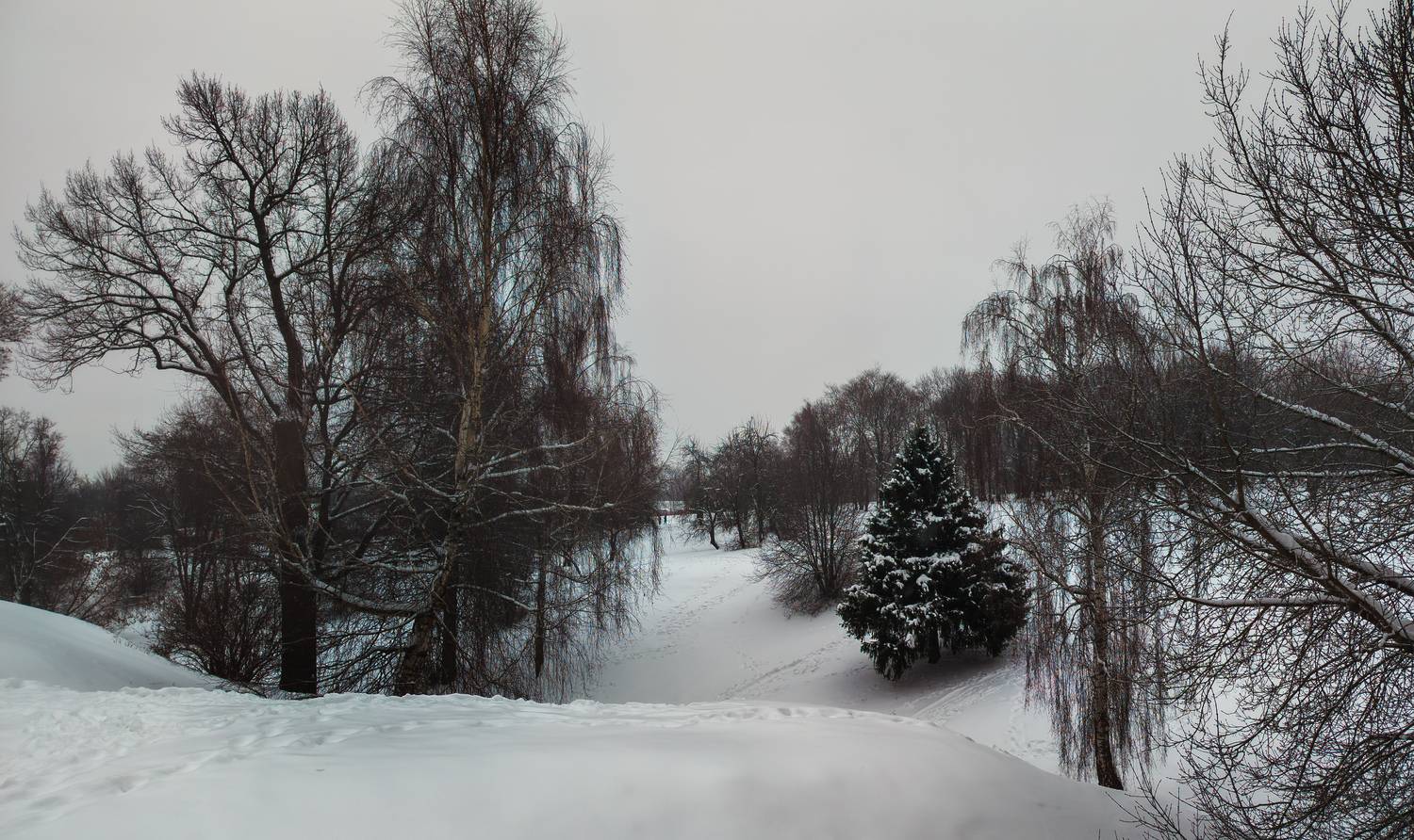 , Лысенко Сергей