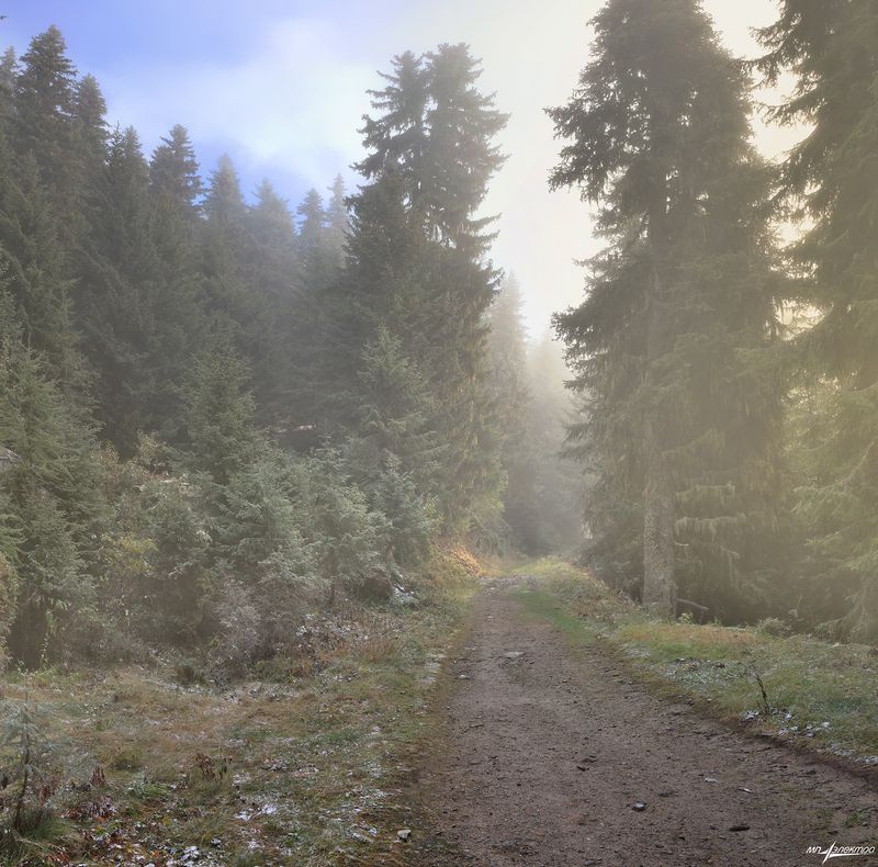 swiss Дороги... фото превью