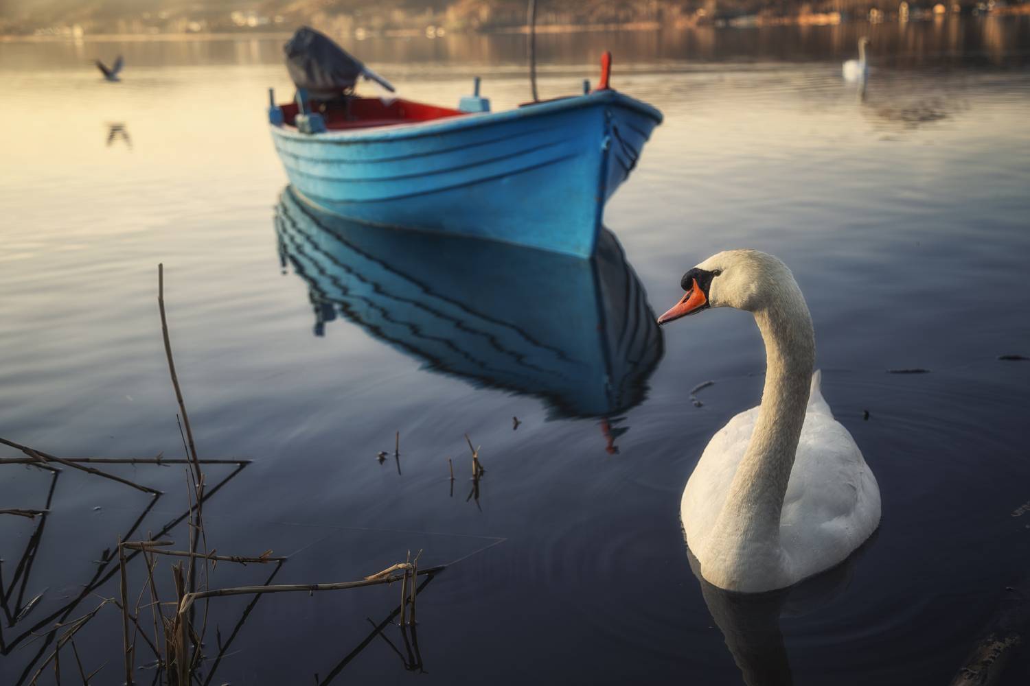 , Маджаров Костадин