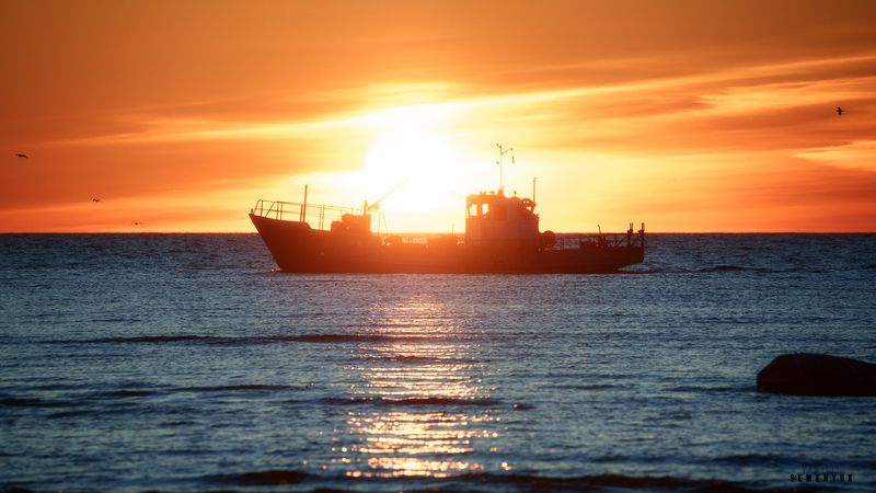 чудское озеро, сейнер, рыбаки, озеро, закат, пейзаж, сигма 100-400 dg dn os. Лучшая в мире работа фото превью