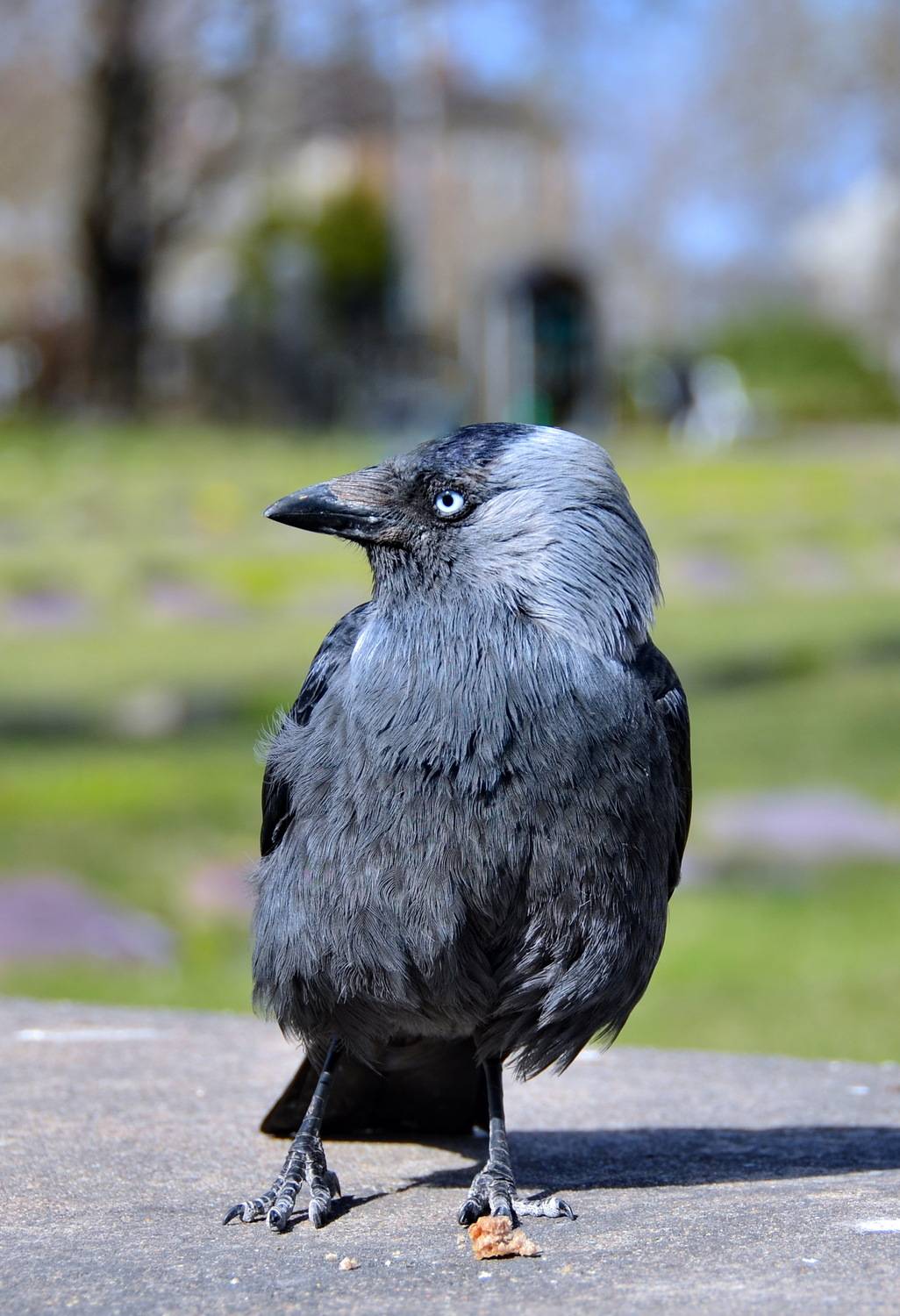 , Лидия Ушакова