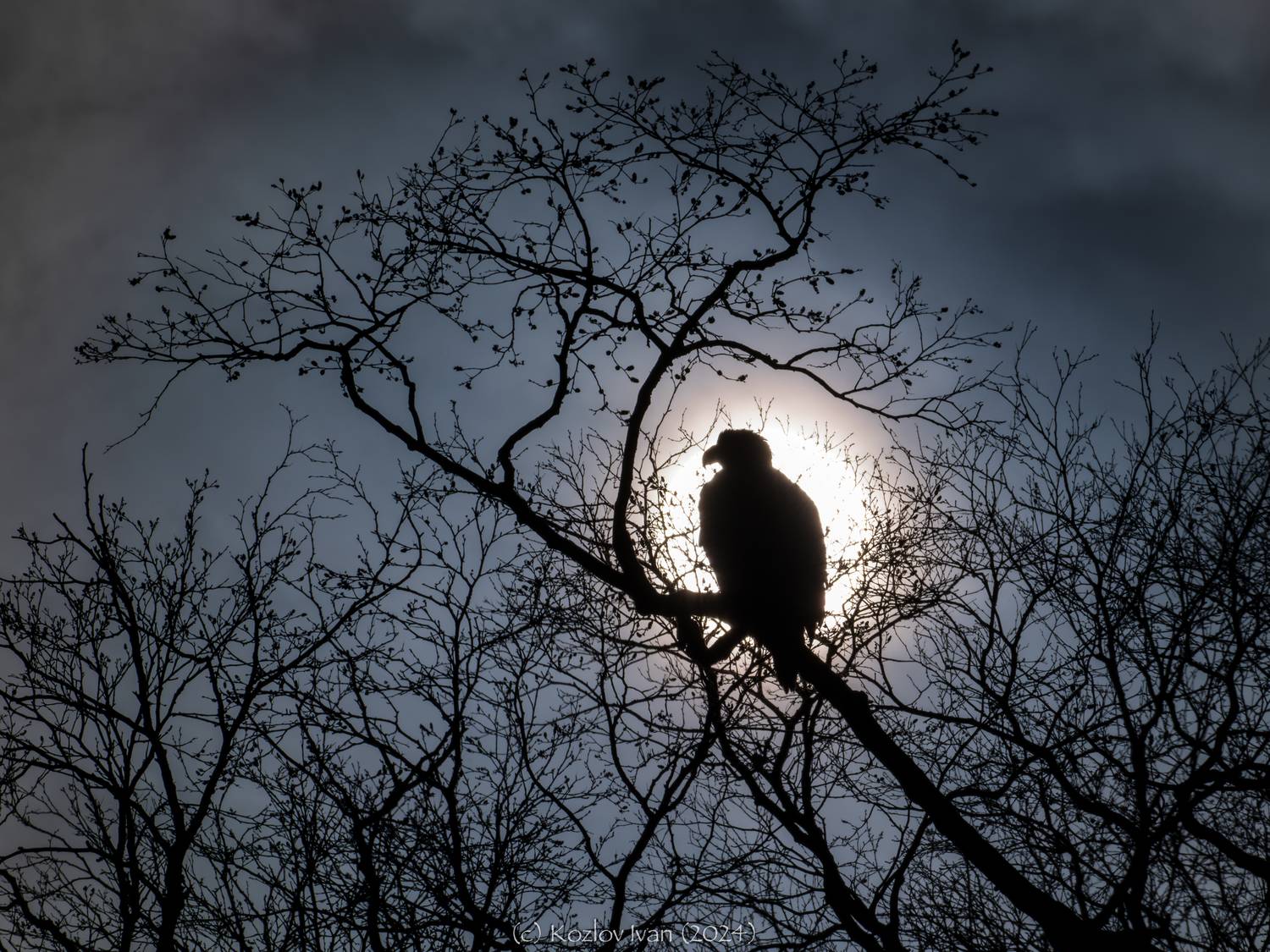 , Козлов Иван