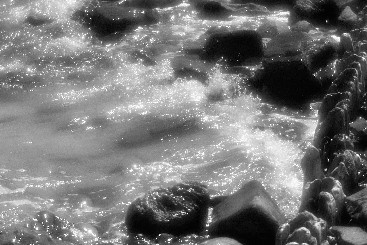 , Андрей Петросян