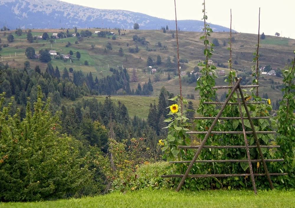 , Савоцкий Роман