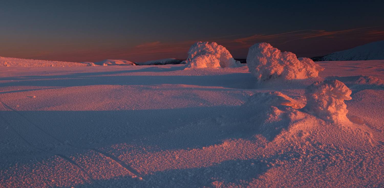 , Wojciech Tarnowski