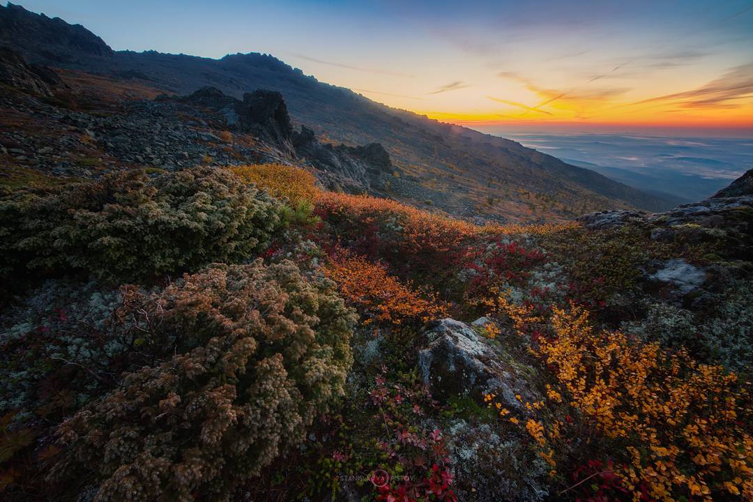 , Станислав Аристов