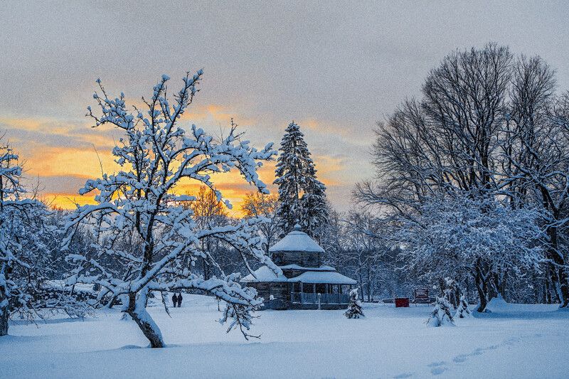 василево, музей, закат, зимнийпейзаж Василево, Тверская область фото превью