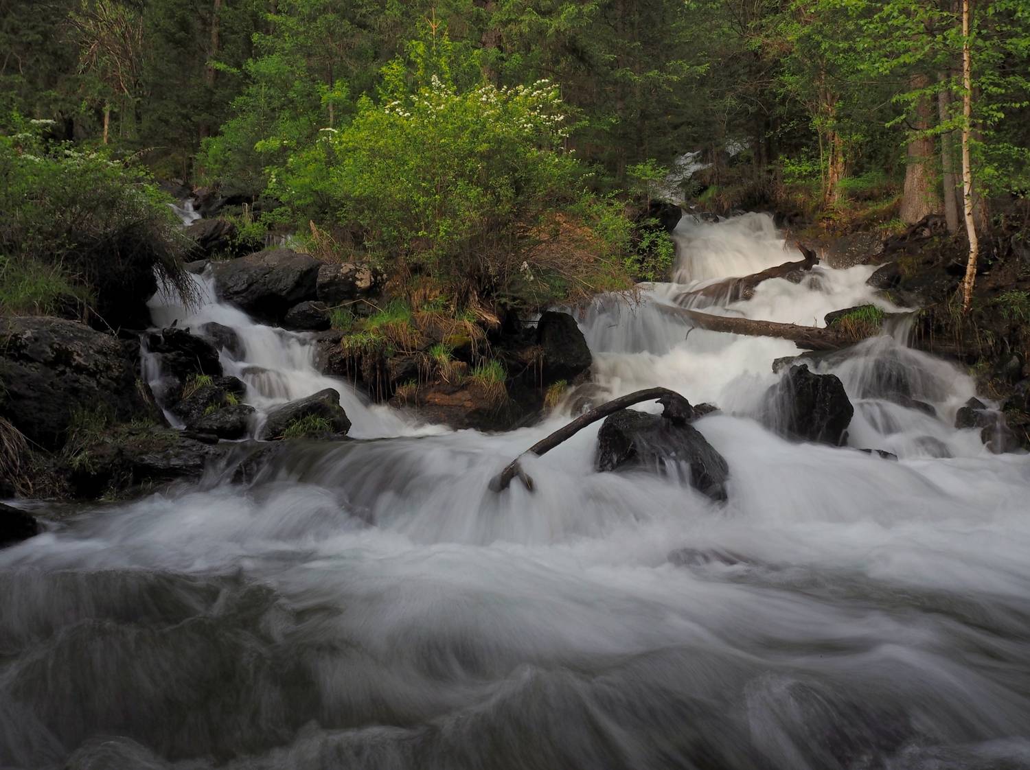 , Яковлев Евгений