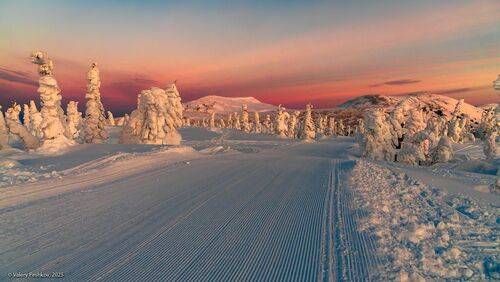 Рассвет на Зелёной