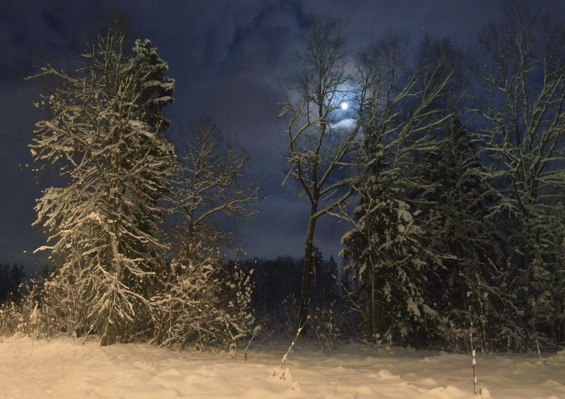 Вечерний пейзаж с луной фото превью