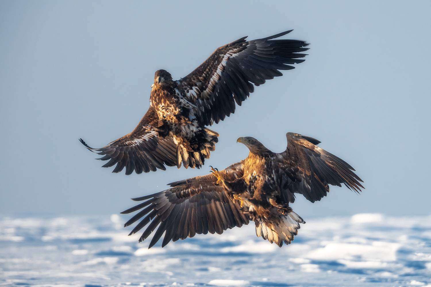 , Lozhkin Vyacheslav