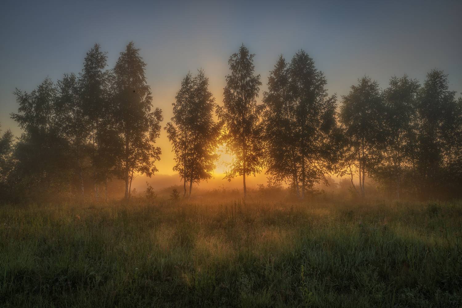 Псковская область, Гусева Елена