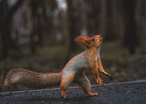 Сейчас я тебя поймаю!