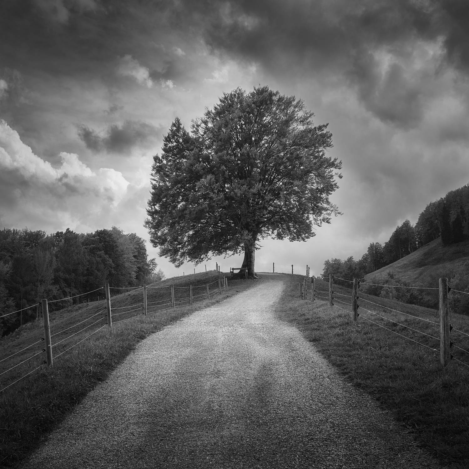 , de Franzoni Thomas