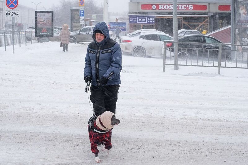 зима город улица  снег люди Метёт... фото превью