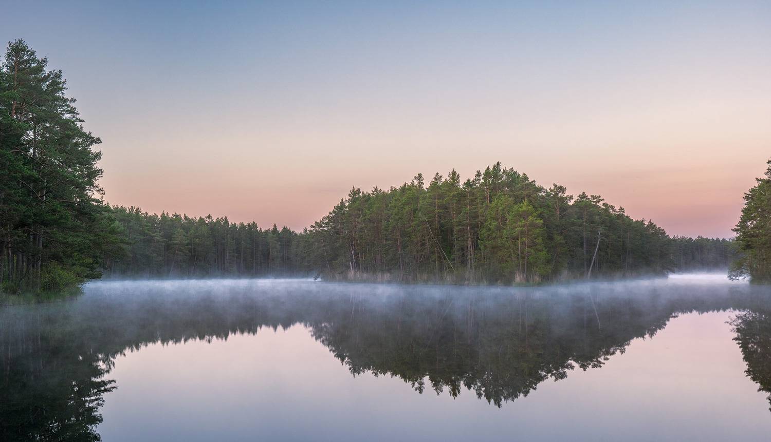 , Гордон Николай