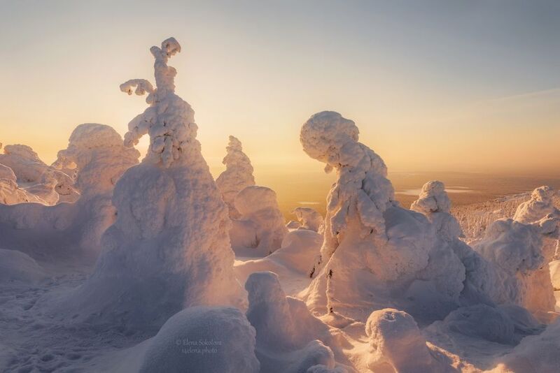 утро, рассвет, зима Золотой рассвет фото превью