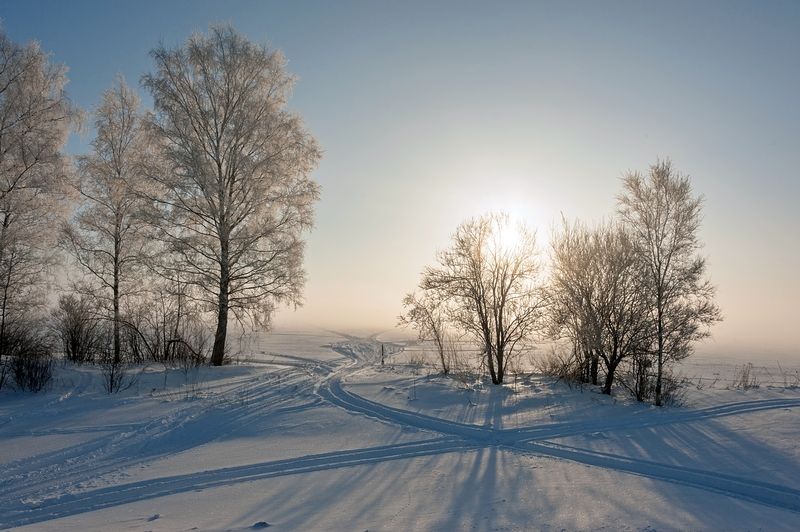 Зимним утром фото превью