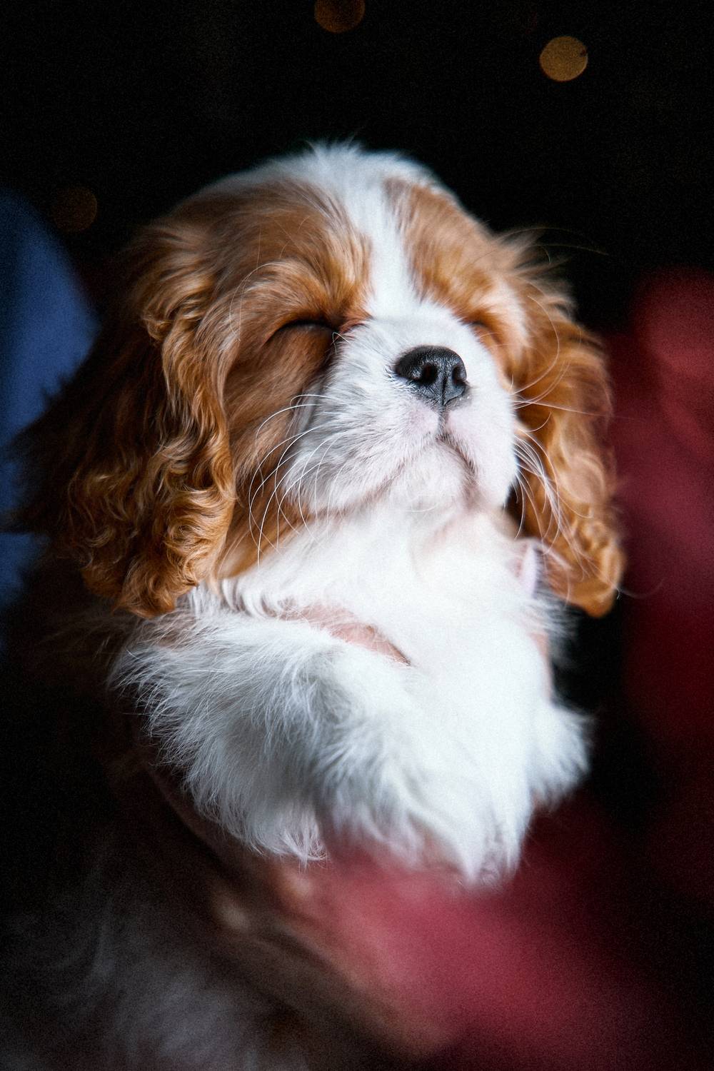 , Вострецов Иван