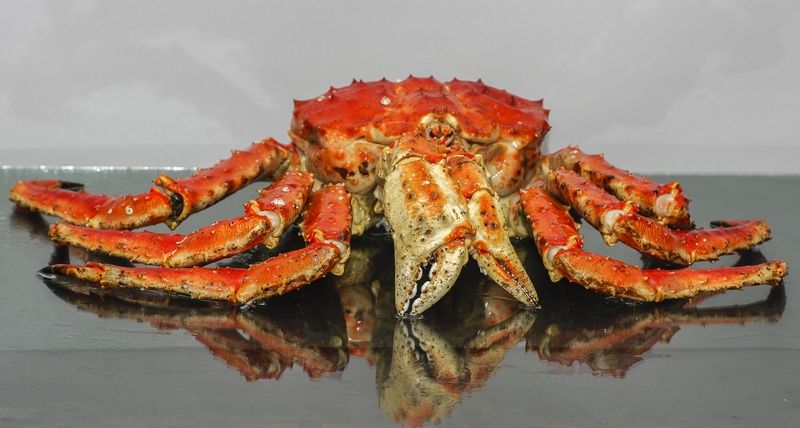Камчатский краб фото превью