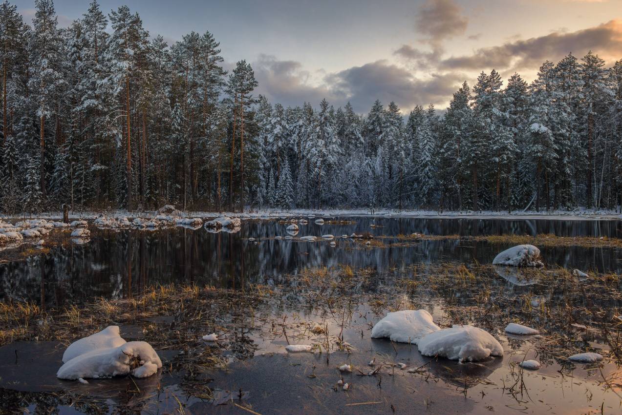 вечер лес речка снег половодье суходол серково, Алексеев Дмитрий