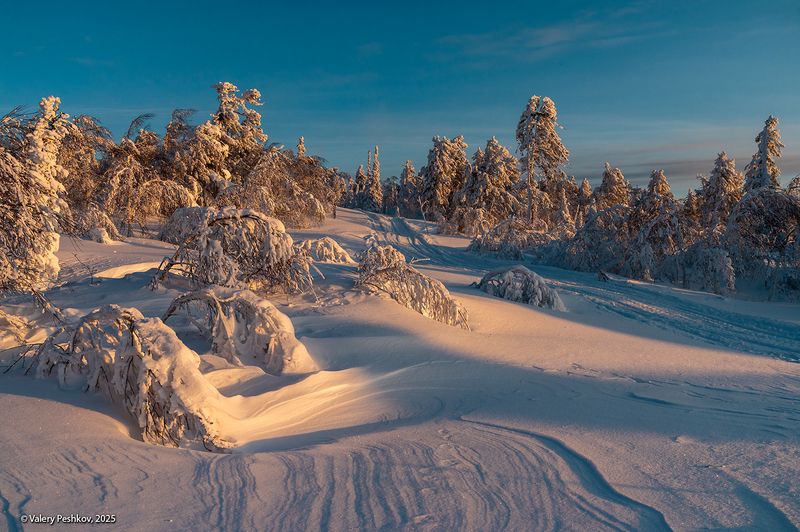 шерегеш, утро, скалы верблюды, иней, пихты, кедры, снег, гора курган, горная шория, смена погоды, мороз, зима, сибирь Утро на склонах горы Курган фото превью
