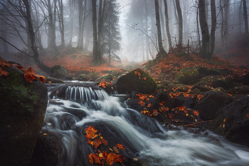 landscape nature scenery forest wood autumn mist misty fog foggy river longexposure mountain rocks vitosha bulgaria There, by the river фото превью