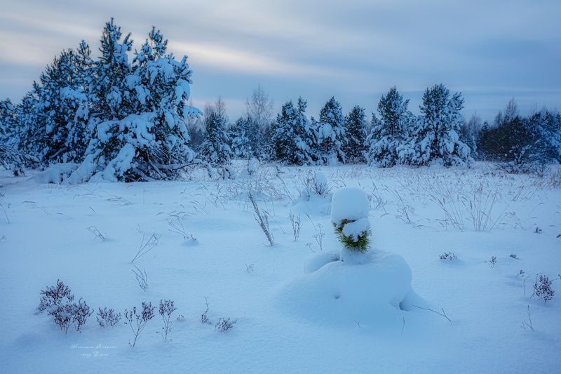 фото превью