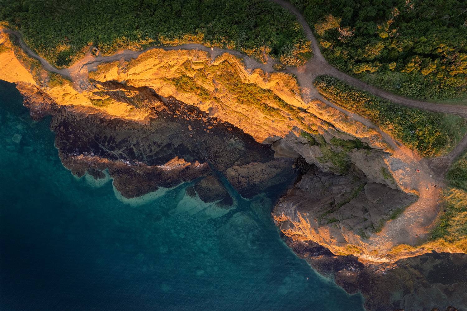 , Андрей Родионов