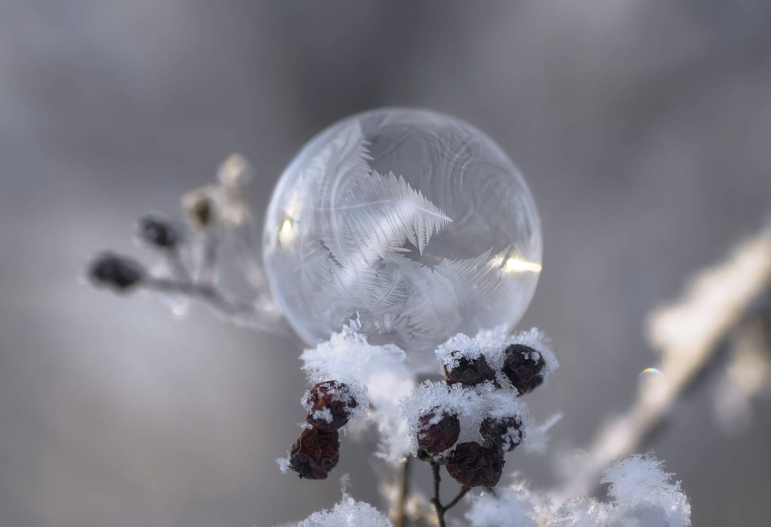 , Панова Зоя