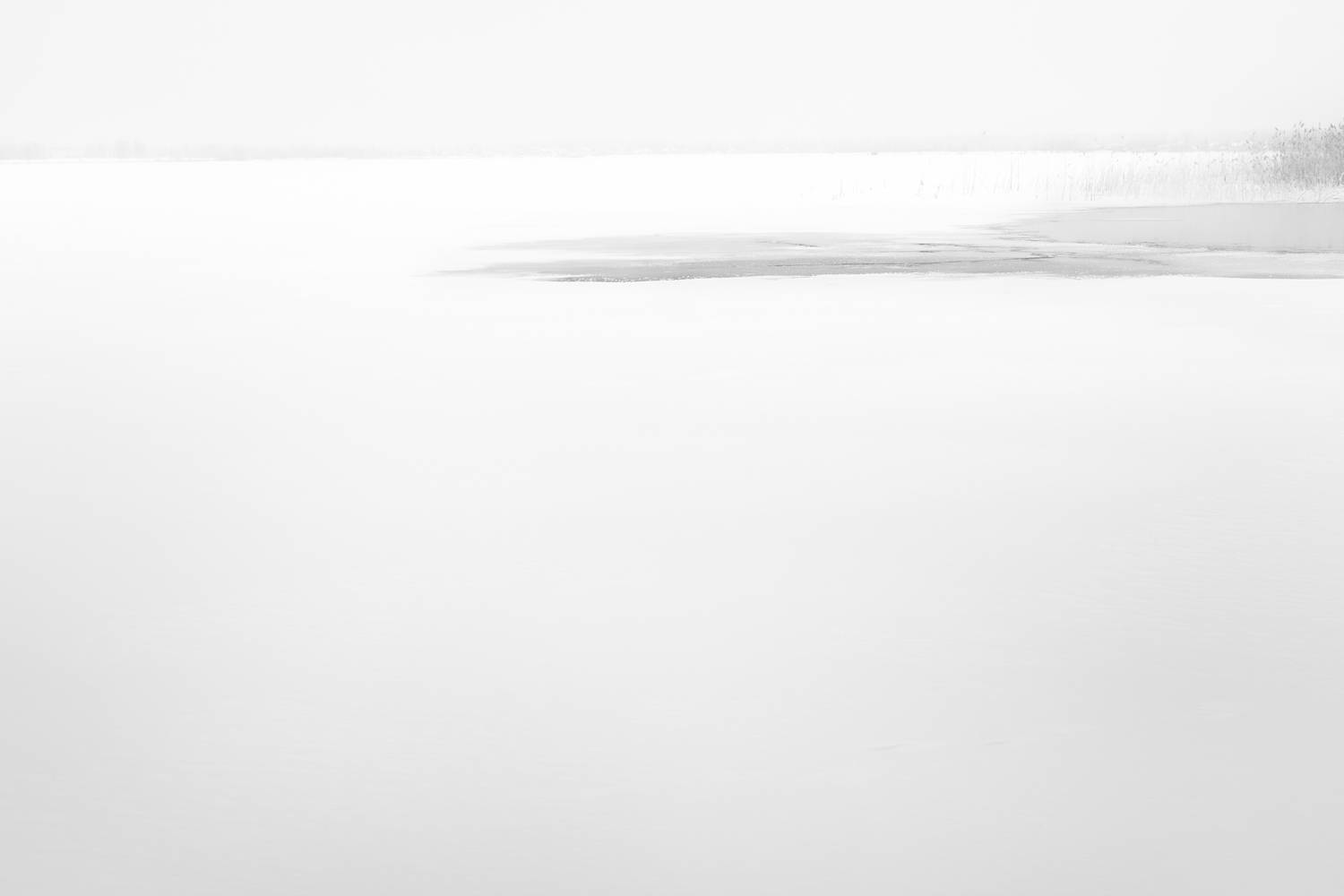 минимализм, монохром, чб, пейзаж, зима, озеро, камыш, туман, снег, утро, Толстоноженко Илья