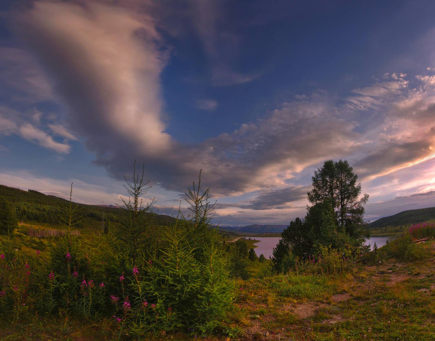 алтай, лето, горы, озеро, вода,узункёль, цветы, иван-чай, кипрей, небо, облака, вечер, валерий_чичкин, Чичкин Валерий