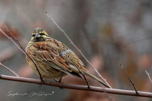 Nature | Wildlife Photography | Adventure