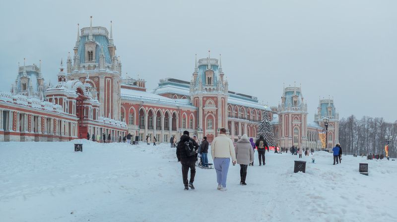 Большой Царицынский дворец фото превью