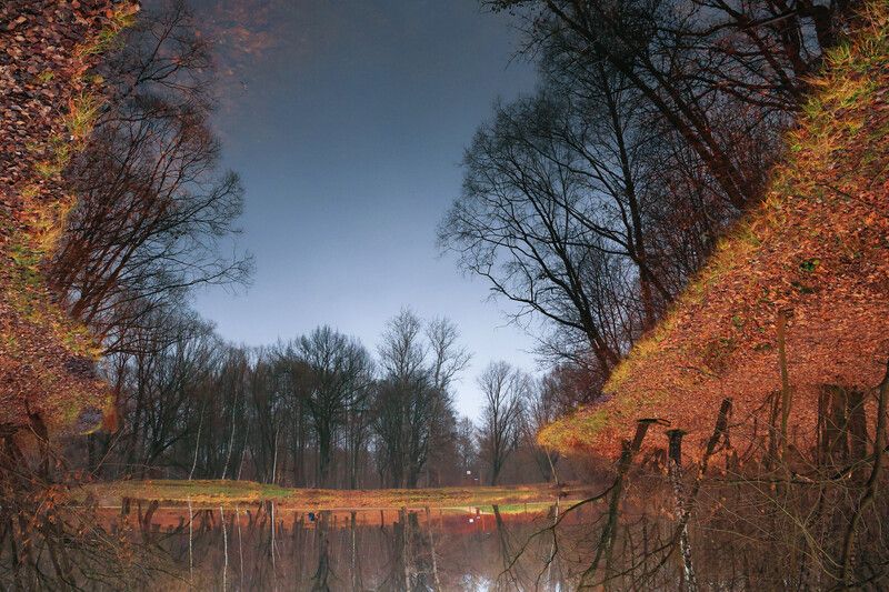 пейзаж,парк кусково,москва, Перевертыш.. фото превью