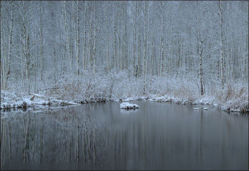 Первый снег на торфяниках фото превью