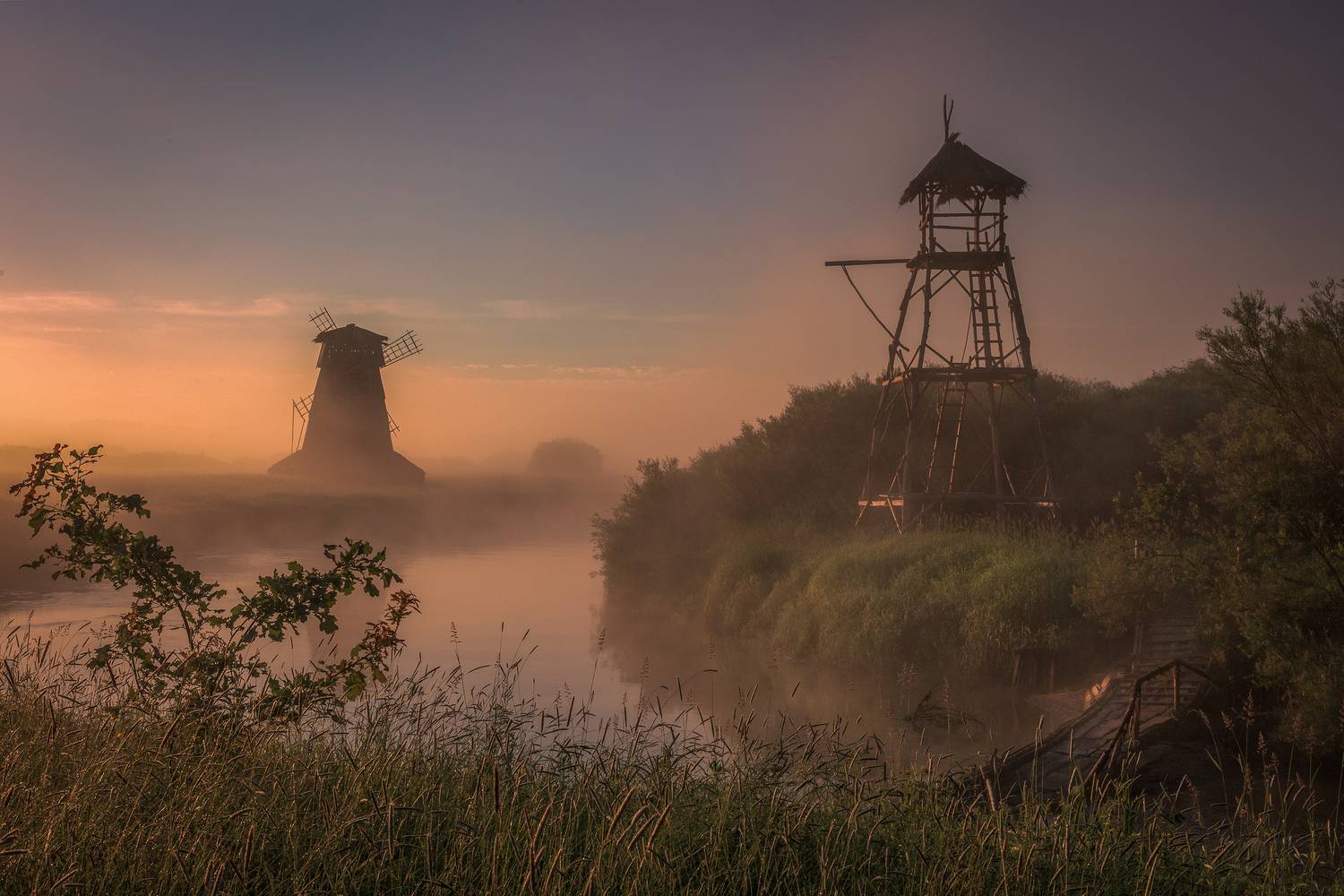 Псковская область, Гусева Елена