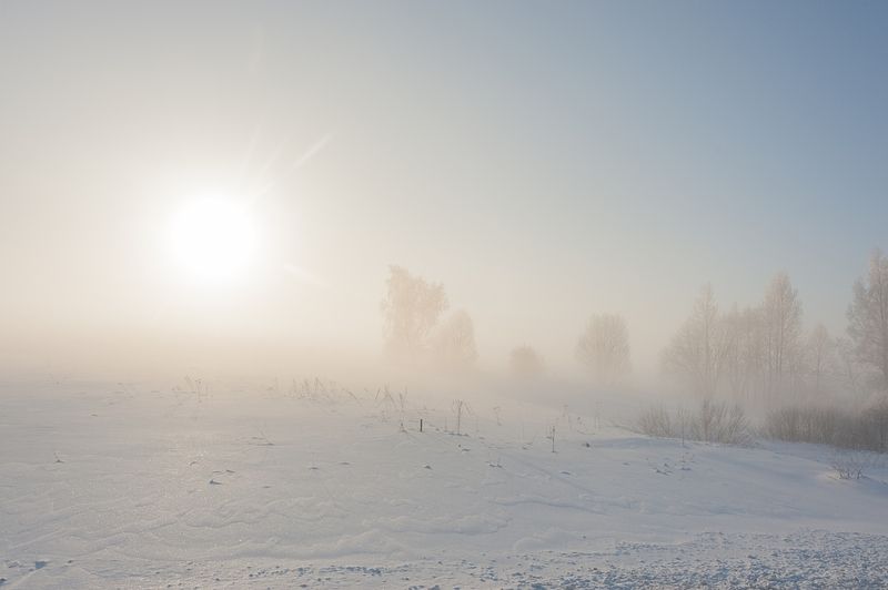 Туманным утром фото превью