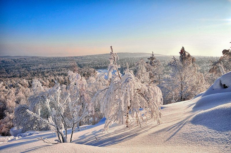 Мороз и солнце фото превью