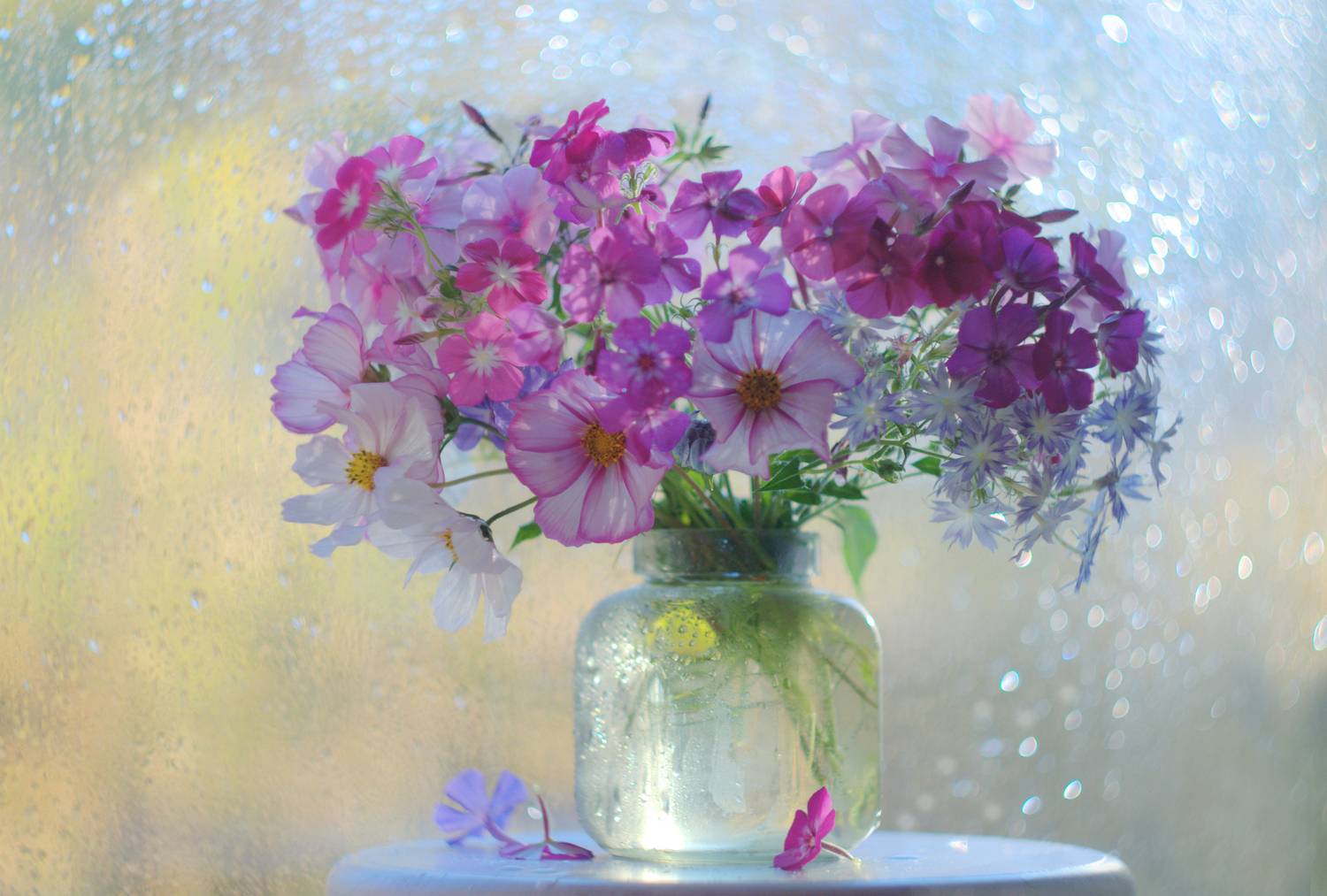 , Хохлова (Ермохина) Наталья