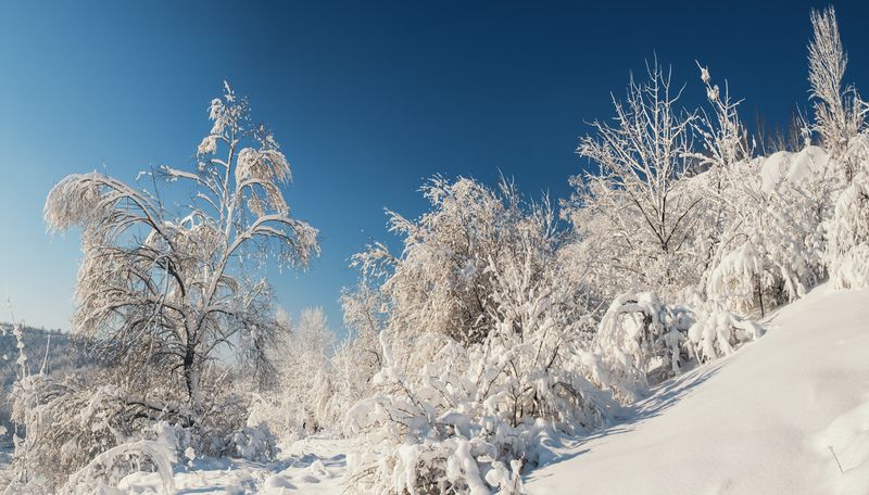 Заснеженной тропой... фото превью