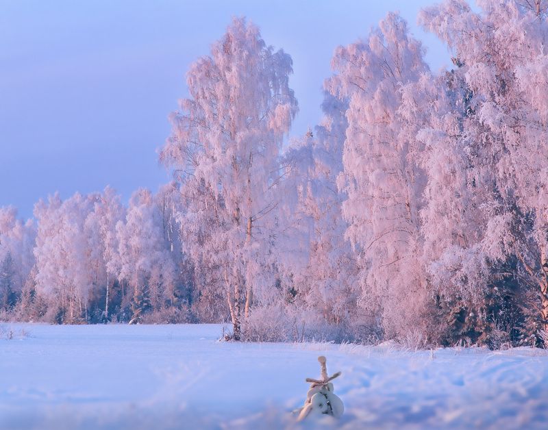 Фототуры с Владимиром Рябковым, #topnature #russpasibo #magic_shots #lovelyRussia #sunset_vision #exclusive_sky  #exclusive_shots #loves_russia2 #photoarena_nature #nature_sultans #nature_perfection #rsa_sky #rsa_sunset #photorussia #rsa_naturepics #sunse Русская зима. фото превью