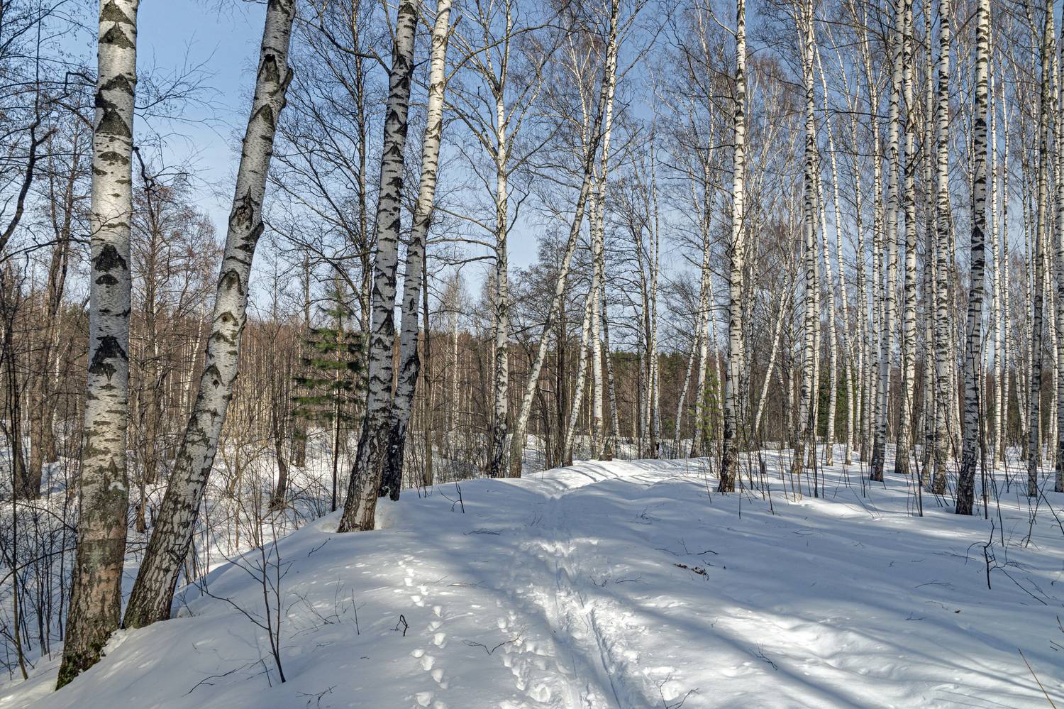 , Шитов Александр