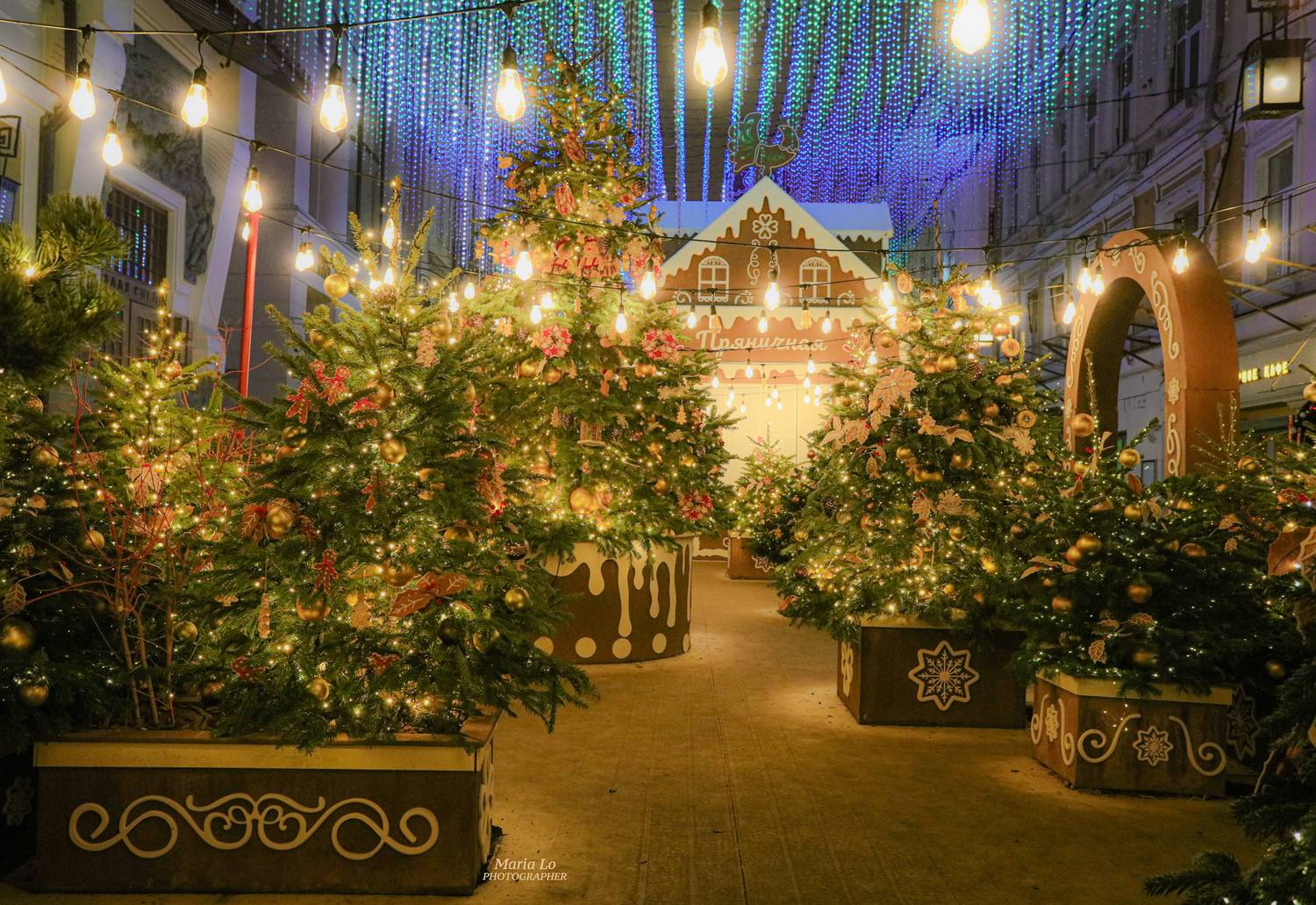 москва пряничныечудеса огнибольшогогорода зимняясказка сказкавгороде рождество проектзимавмоскве рождественскоенастроение пряник снег пряники рождественскиеогни новогодниеогни зимавгороде, Maria Lo