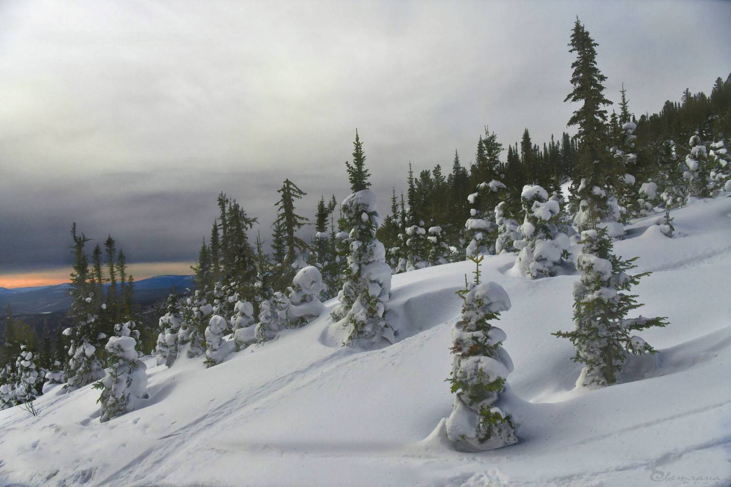 , Крат Светлана