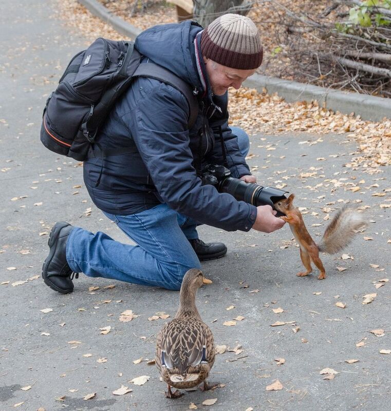 Осень фото превью