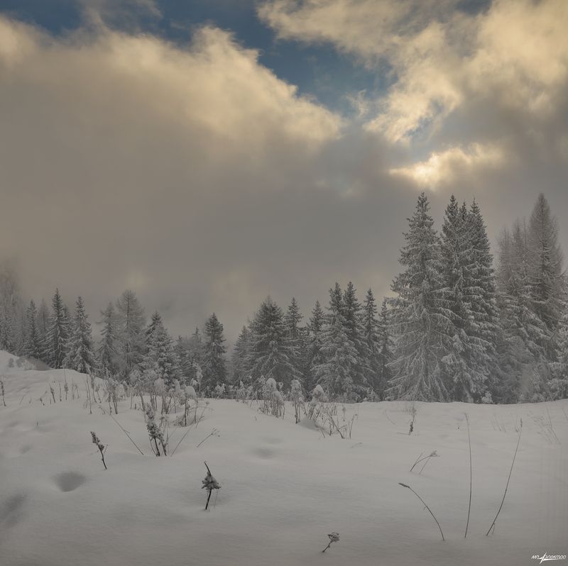 swiss Январь... фото превью