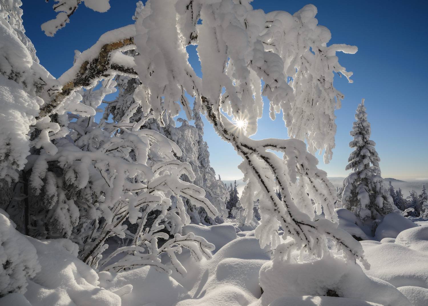 , Обухов Николай